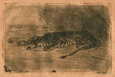 Eugène Delacroix,  Tigre Couché à l'Entrée de son Antre, etching